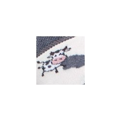 Носки женские 21С4200В 006 Брестские Fajna Socks Conte [6шт] Дроп х/б