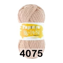 Пряжа Kamgarn BIG TWIST PAPATYA