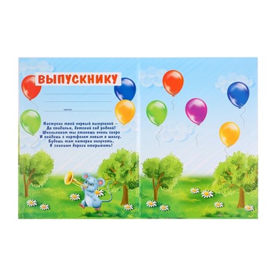Папка на выпускной «Выпускник детского сада», А4, без файлов