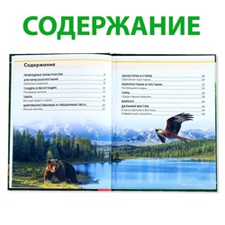 Энциклопедия детская в твёрдом переплёте «Животные России», 48 стр.