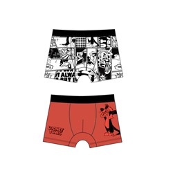 Трусы-боксеры для мальчика, 2 шт. в комплекте