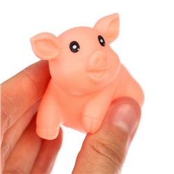 Резиновые игрушки для ванны Крошка Я «Зверята с кругом», с пищалкой, в наборе 5 шт., МИКС