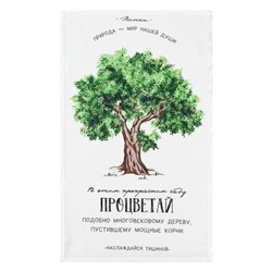 Набор кухонных полотенец Доляна «Красота повсюду», 35х60см-4шт, 100% хлопок