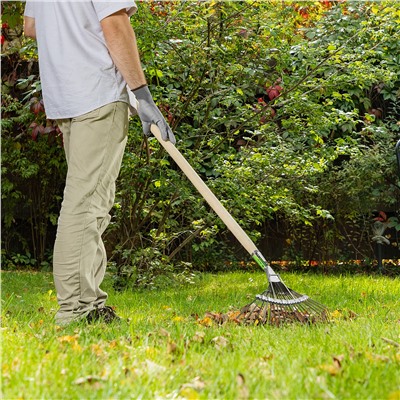 Грабли веерные стальные, 385 мм, 20 плоских зубьев, оксидированные, без черенка, Сибртех