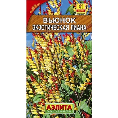 Вьюнок Экзотическая Лиана