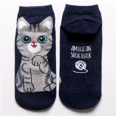 70233 В мире животных | Укороченные носки "Котенок американской короткошерстной", р-р 36-39 (синий)