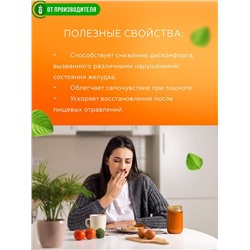 Кисель "Желудочный"  с чагой и мятой / 5 пак х 12 гр / Сибирская клетчатка