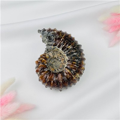 Радуга Самоцветов Аммонит