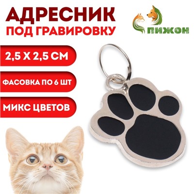 Адресник под гравировку "Лапа", фасовка по 6 шт,  2,5*2,5 см, микс цветов,