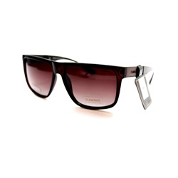 Мужские поляризационные очки FLAMINGO 7004 C005