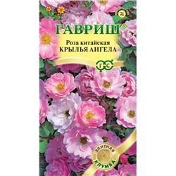 Роза Крылья Ангела Китайская Гавриш