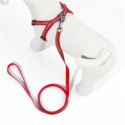 Комплект со светоотражающей лентой, ошейник 120×1 см, ОГ 26-40 см, красный