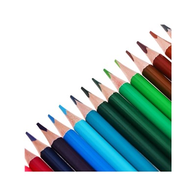 Карандаши цветные 24 цвета TOP Calligrata, супермягкие, в картонной коробке, диаметр грифеля 3 мм, 5B