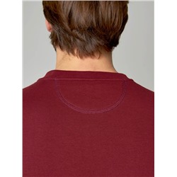 Толстовка мужская арт. 05198