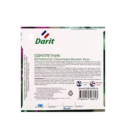 Семена цветов Катарантус Саншторм "Виолет Хало", О, 10 шт