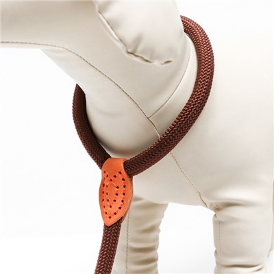 Ринговка для собак, 150×1.2 см, коричневая