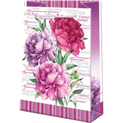 Пакет бум./ламинир 135*180*60мм в ассортименте МО 10-20/10/Россия