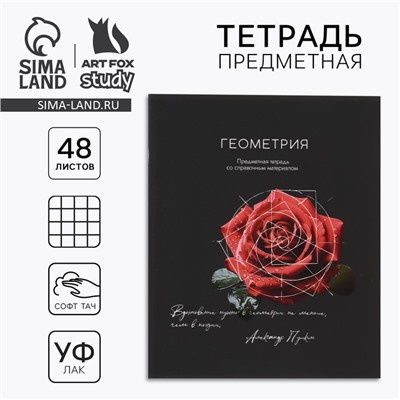Тетрадь в клетку, предметная, 48 л.,на скрепке, А5 «Силуэт. Геометрия»