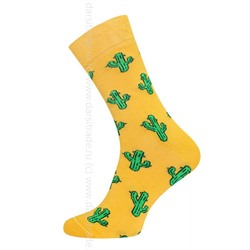 Носки женские 21С4200В 003 Брестские Fajna Socks Conte [6шт] Дроп х/б