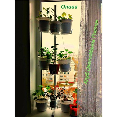 Оконная подставка ОЛИВА на 9 горшков Держатели- Березка