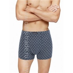 Трусы мужские GS8016 Gentlemen шорты