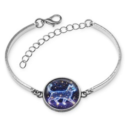 BSI-0108 Браслет металлический Звёздная кошка