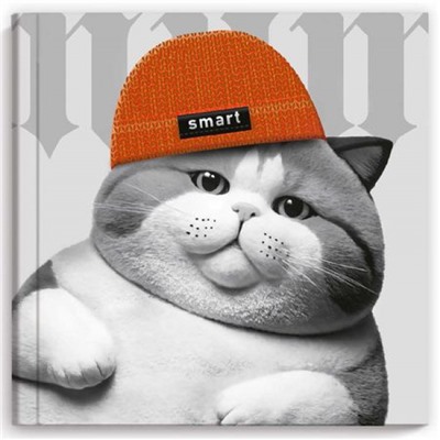 Блокнот 105х105 мм 48л "Notebook.КОТ В ШАПОЧКЕ" 70123 Феникс