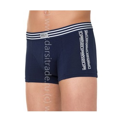 Трусы мужские MSH406 Tattoo Shorts DiWaRi Дроп боксеры
