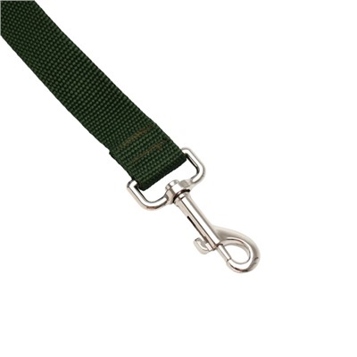 Поводок 5 м × 2.5 см, зелёный