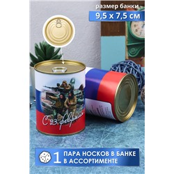 Носки мужские в банке GL738