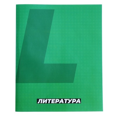 Тетрадь предметная 36 листов в линию, Calligrata «MonoTone. Литература», обложка мелованная бумага, серые листы