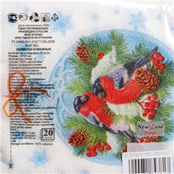 Салфетки новогодние бумажные «Зимние птички», 33×33 см, 2 слоя 20 шт.