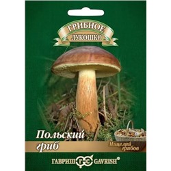 Мицелий грибов Польский гриб, арт.: 15144