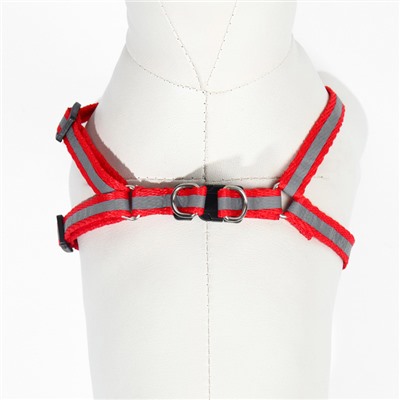 Комплект со светоотражающей лентой, ошейник 120×1 см, ОГ 26-40 см, красный