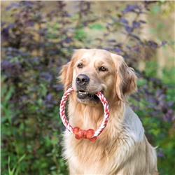 Игрушка тренировочная канатная «Круг с косточкой», до 100 г, микс цветов