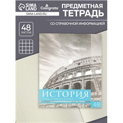 Тетрадь предметная 48 листов в клетку Calligrata, «Чёрное-белое. История», обложка мелованная бумага, серые листы