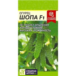 Семена Огурец Шопа F1, арт.: 13595