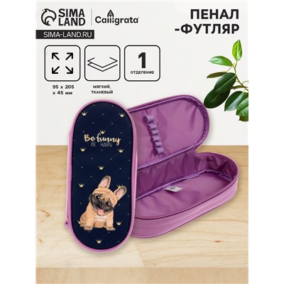 Пенал-футляр 95 х 205 х 45 мм, мягкий, текстильный, Calligrata, ПМК 27-20 резинка на клапане, "Бульдожка"