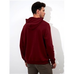 Толстовка мужская арт. 05207