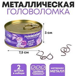Набор головоломок «Время блистать умом»