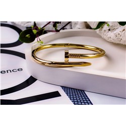 Стальной браслет Картье Гвоздь + Подарок