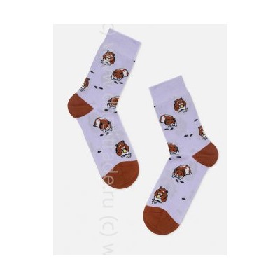 Носки женские 21С4200 165 Брестские Pets Conte [6шт] Дроп