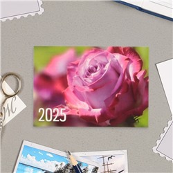 Карманный календарь "Цветы" 2025 год, микс,  7 х 10 см