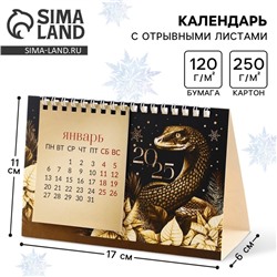 Новый год. Календарь 2025 настольный с отрывными листами «Счастья в Новом году», 16,9 х 14 см