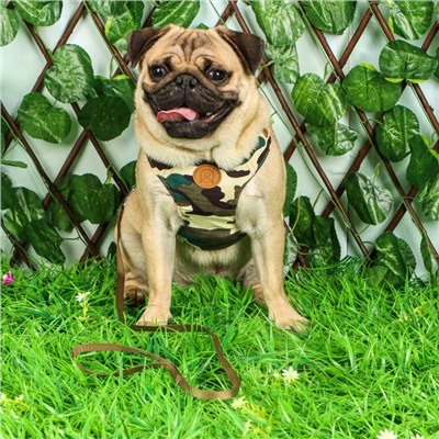 Комплект «Рефлекс», размер L, поводок 95 см, ОГ 25-64 см, камуфляж