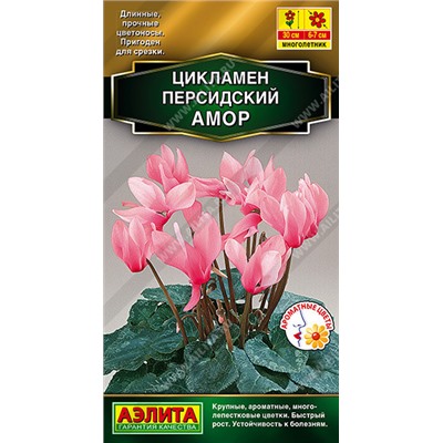 1667 Цикламен персидский Амор 3шт