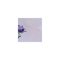 Носки женские 21С1145 644 Брестские Classic Conte [6шт] Дроп х/б