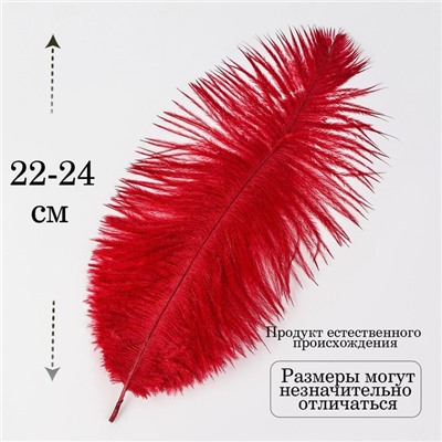 Перо для декора 1 шт., размер 24 см, цвет бордовый