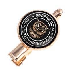 HZF-0066 Заколка Сова