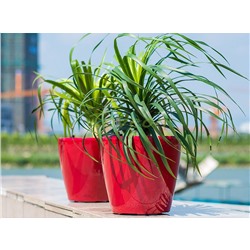 Кашпо LEIZISURE для цветов HG-3101A черный